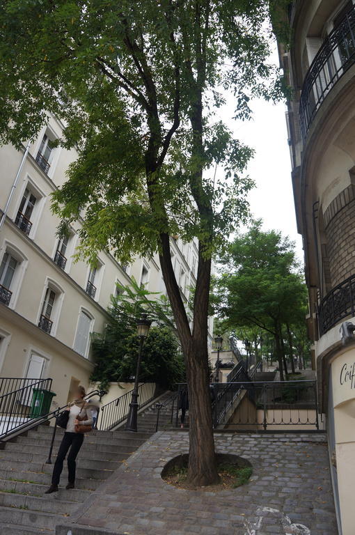 Studios De Charme A Montmartre Paris Eksteriør bilde